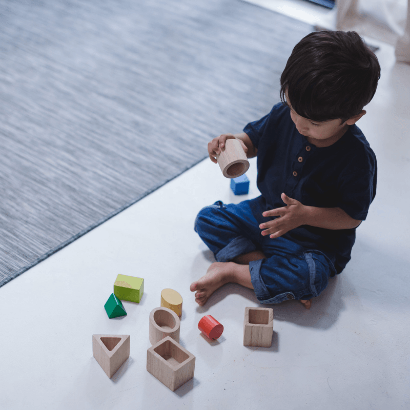 Plan toys activity blocks online